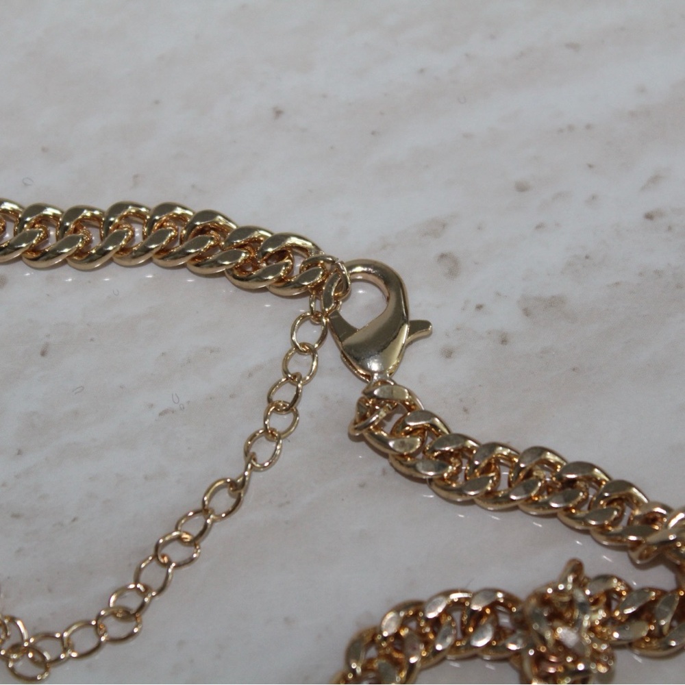 bebe Metal Bar & Long Fringe Statement Necklace - Picture 13 of 13